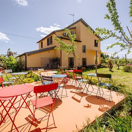 Agriturismo Bio Podere 109 - Wine&Food Alberese Extérieur photo